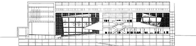 Seccion longitudinal / Longitudinal section