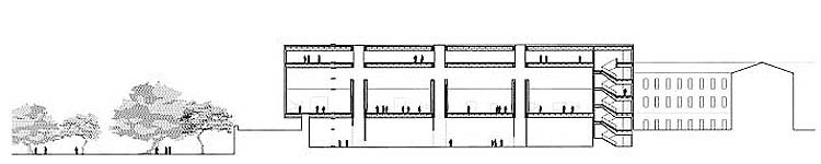 Secciones transversales / Transversal sections