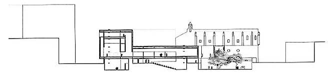 Seccin longitudinal / Longitudinal section