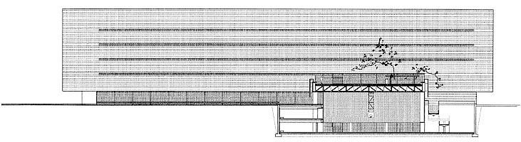 Seccin C / Section C