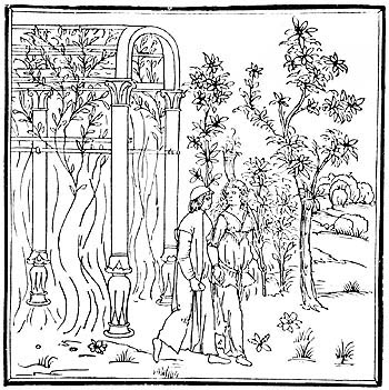 Grabado de Hypnerotomachia Poliphili (El sueo de Polifilo), de F.Colonna, Venecia, 1.499, obra en donde se describe una prgola cuyas ramas de limoneros naranjos y cidros se curvaban a modo  de bveda...  //  7. An engraving from F. Colonna's Hypnerotomachia Poliphili, Venice, 1499. This book describes a pergola where branches of lemon, orange and citron trees curve over to form a vault...
