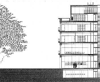 Seccin transversal / Cross section