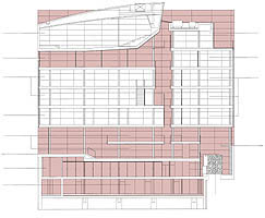 Seccin longitudinal/Longitudinal section