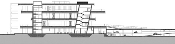 Seccin longitudinal/Longitudinal section