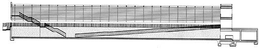 Seccin longitudinal/Longitudinal section