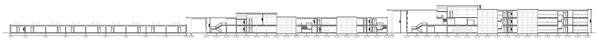 Seccin longitudinal/Longitudinal section