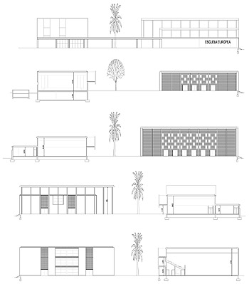 Secciones transversales/Cross sections