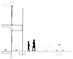 Seccin por parterre de bamb/Section through bamboo pole beds