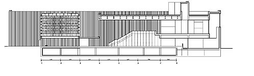 Seccin longitudinal/Longitudinal section