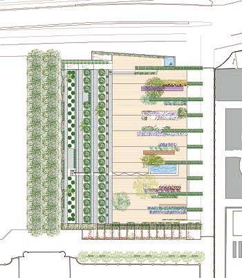 Planta general del jardn/Ground plan of the garden