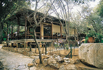 Atenas. Dimitris Pikionis, aspecto de la colina de la Acrpolis/Athens. Dimitris Pikionis, slope of the Acropolis