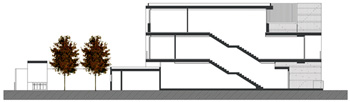 Seccin longitudinal/Longitudinal section